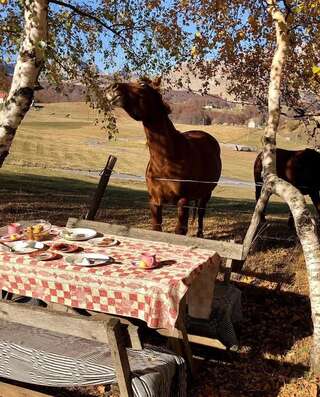 Проживание в семье Organic Family Farm Жабляк-6