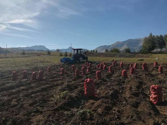 Проживание в семье Organic Family Farm Жабляк-26