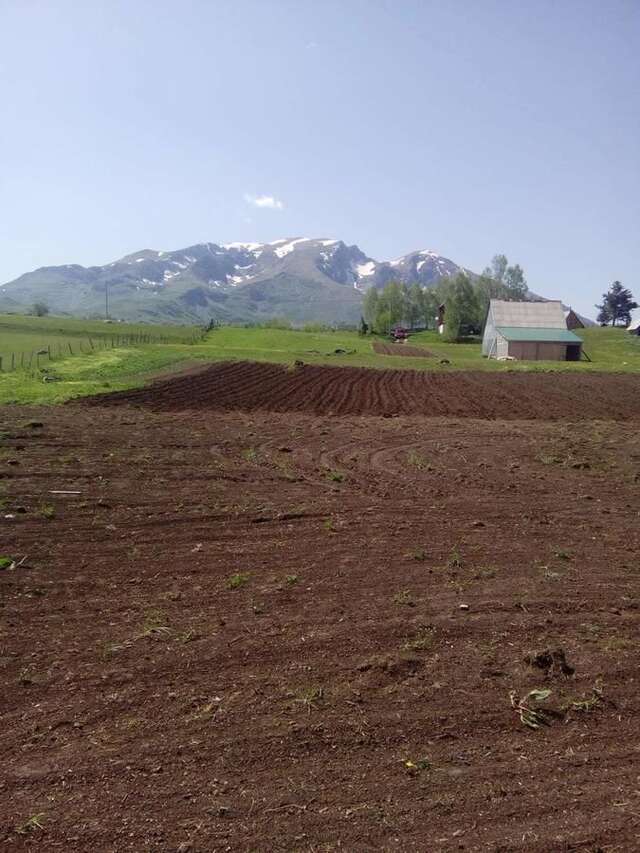 Проживание в семье Organic Family Farm Жабляк-43